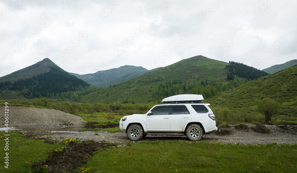 Trip in the high altitude beautiful grassland and flowers, China