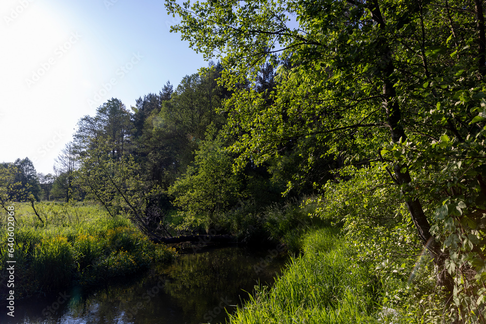 a small river in eastern Europe in the summer a small river in eastern Europe in the summer