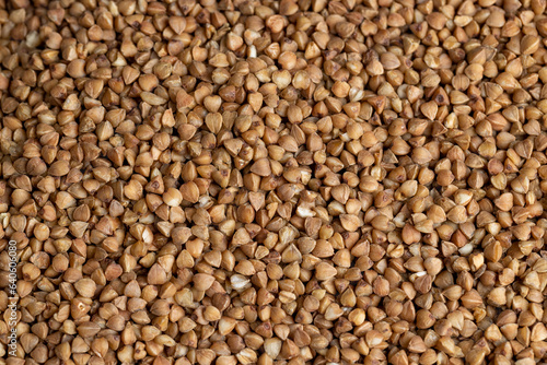 A large amount of roasted buckwheat harvest