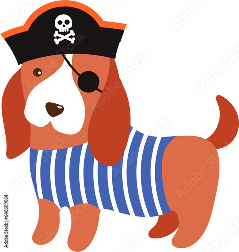 Cute dog in pirate costume