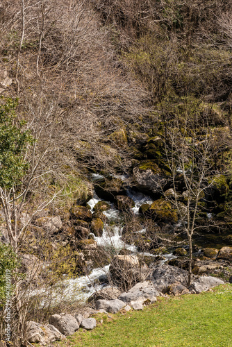 Nature's Serenade: Serene Scene of a Pristine River Amidst the Untamed Woodlands of Cantabria