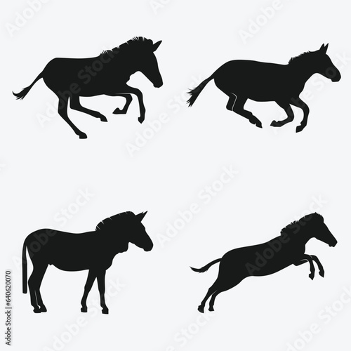 Photography Collection of mix zebra silhouette