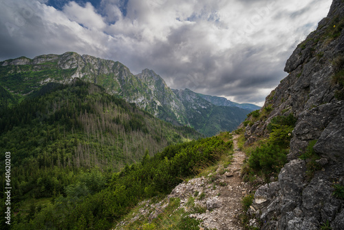 Mountain landscape in Zakopane. Hiking trail in the Tatras on a summer day, cloudy sky.