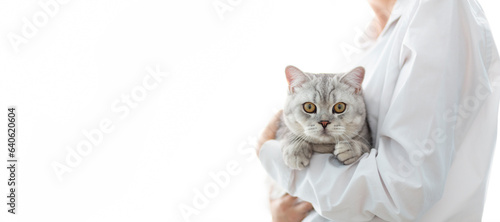Banner Veterinarian doctor with small gray British kitten in his arms in medical animal clinic. advertising and copyspace concept.