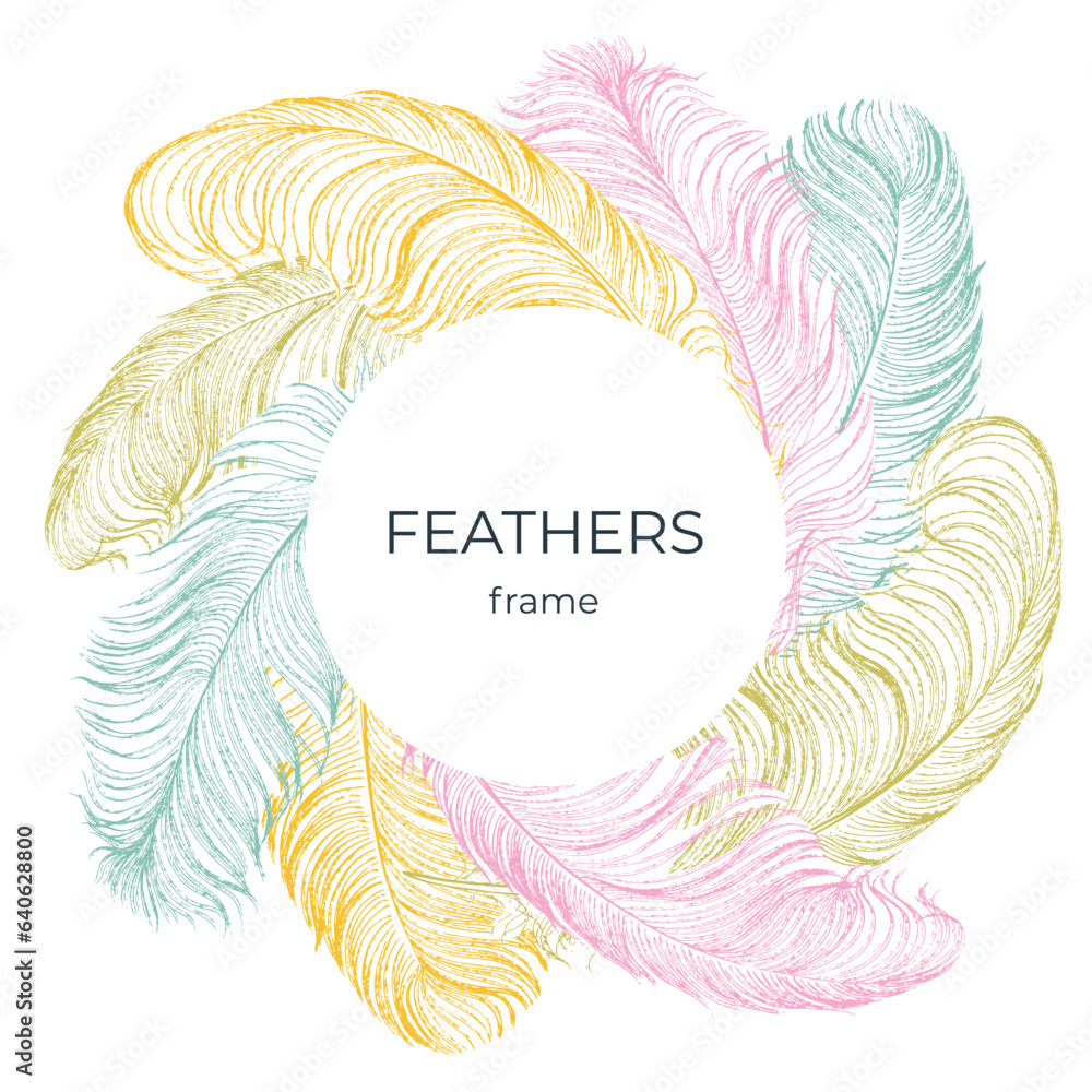 Label, cover pattern with colored delicate ostrich feathers. 