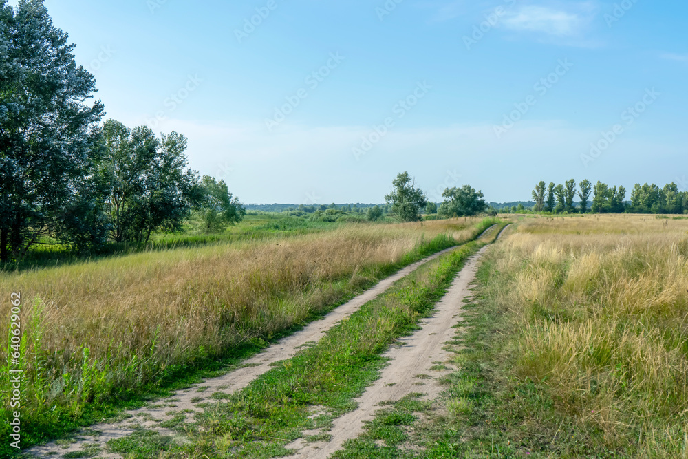 Road on the coutryside on sunny day in Poltava region. Summer ukrainian landscape.
