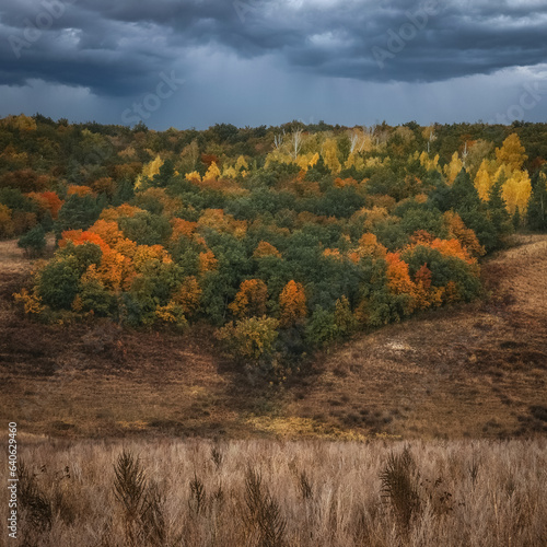 Beautiful panorama of the autumn forest on the mountain hills.