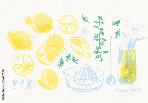 Hand drawn lemon citrus fruit whole, half and slice and mint illustration