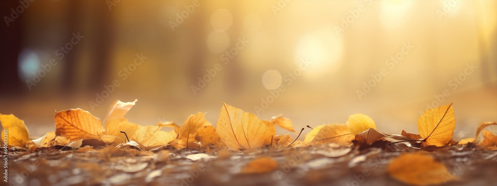 Seasonal background park sunny fall nature wood wooden autumn bokeh yellow tree