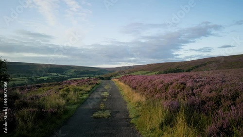 A slow drone tracking shot low over single track road and purple heather.
Pretty valley of Westerdale is revealed beyond. North York Moors. photo