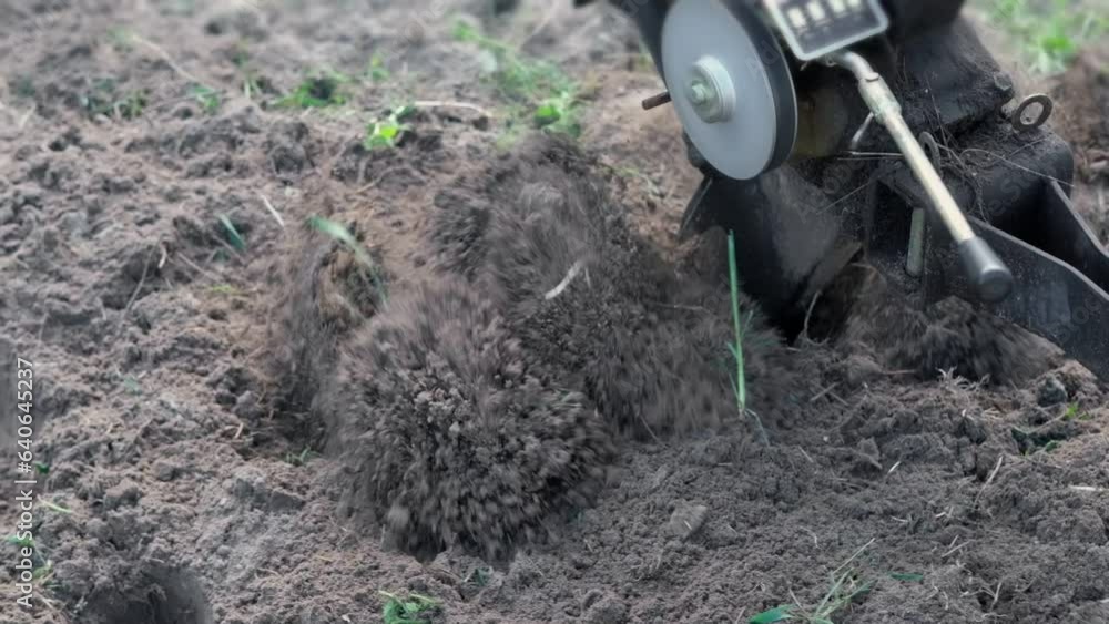 Powerful cultivator, Tiller. Gardening. Spring work on the farm. Land cultivation with a Motor