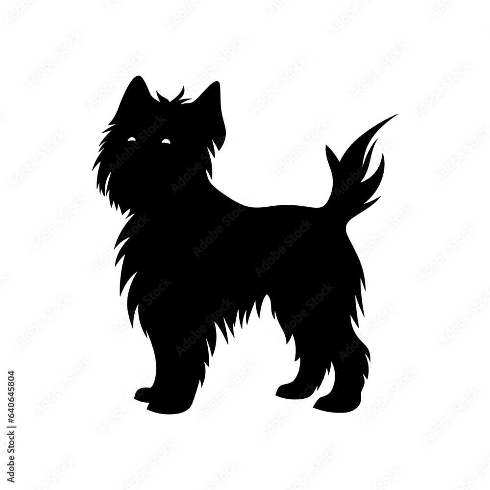 Affenpinscher Dog vector Silhouette, Affenpinscher Dog black Silhouette isolated on white background