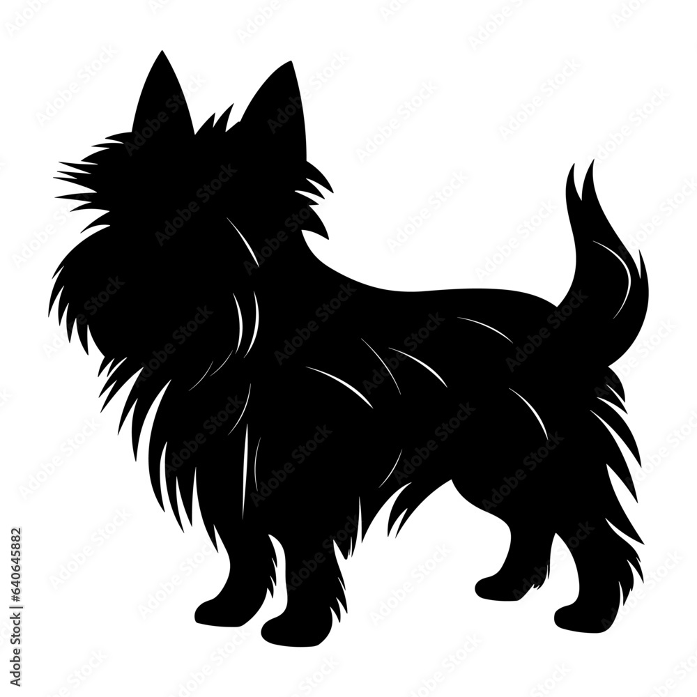 Affenpinscher Dog vector Silhouette, Affenpinscher Dog black Silhouette isolated on white background
