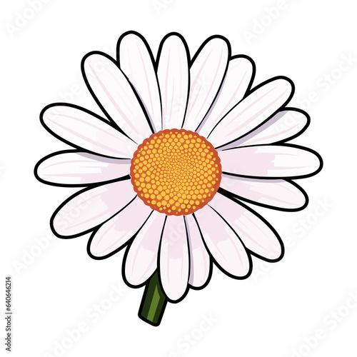 Daisy flower, isolated on transparent background, Generative Ai.