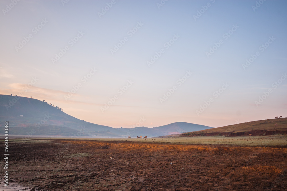 The horses are looking for an empty hill with a thin layer of resistance at the foot of the dew which is the ground The horses are looking for an empty hill with a thin layer of resistance at the foot of the dew which is the ground