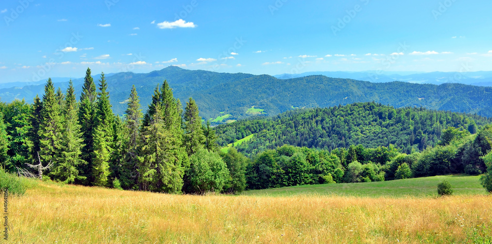  Summer lanscape in  mountains. View of the Luban range in the Gorce Mountains, Poland.