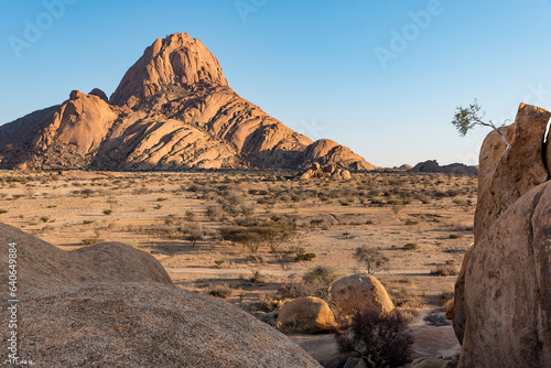A trip to Africa or USA?