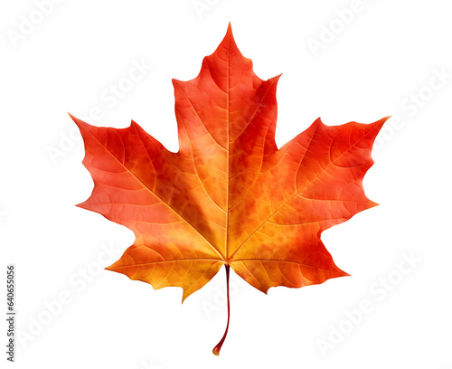 Autumn red maple leaf isolated on transparent background. PNG format