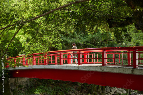 夏の修善寺の恋の橋の風景 photo