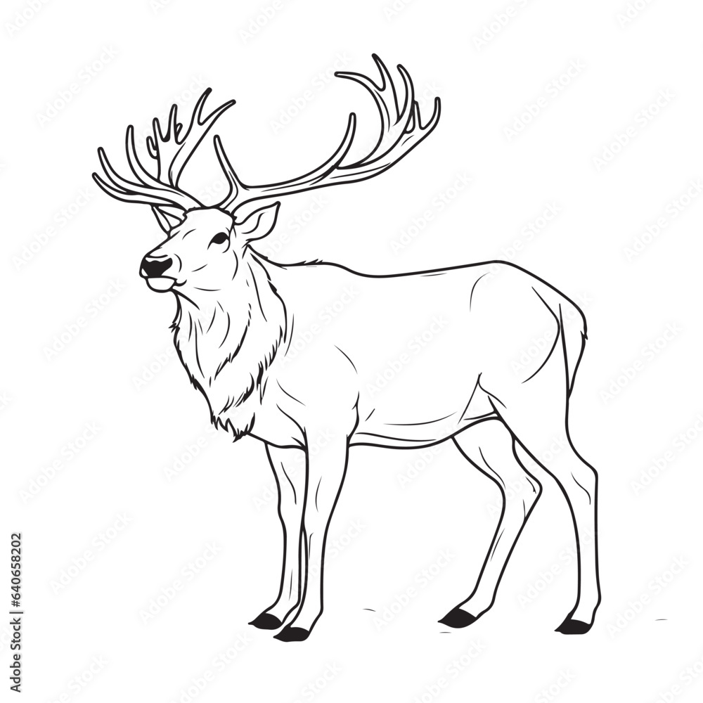 an elk that sits on a white background, in the style of black and white drawings an elk that sits on a white background, in the style of black and white drawings