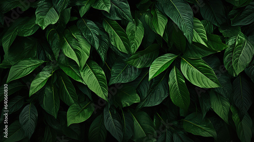 green foliage texture © Ziyan Yang