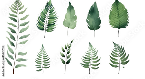 Set of watercolor green tropical leaves isolated on white backround
