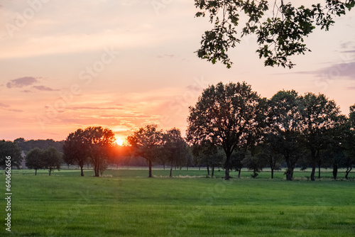 Capture the enchanting beauty of a colorful sunset painting the sky with hues of gold and warmth. The treetops lining the farmfields in this rural landscape create a captivating frame, while branches