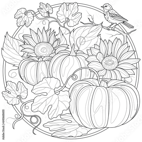 Pumpkins, sunflowers and a bird.Harvest.Coloring book antistress for children and adults. 