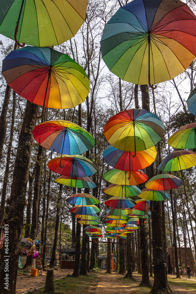 cobertura de guarda chuvas coloridos na cidade de Holambra, Estado de São Paulo, Brasil