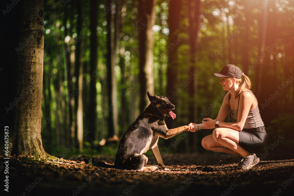 Dog friend with his owner. Adopted dog. Woman with a dog in the forest