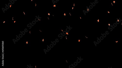 autumn leaves. Small leaves fall off.  transparent background.