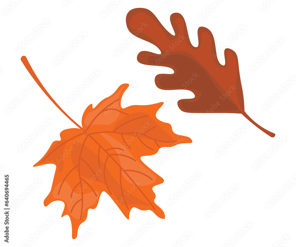 Fototapeta premium leaf 
