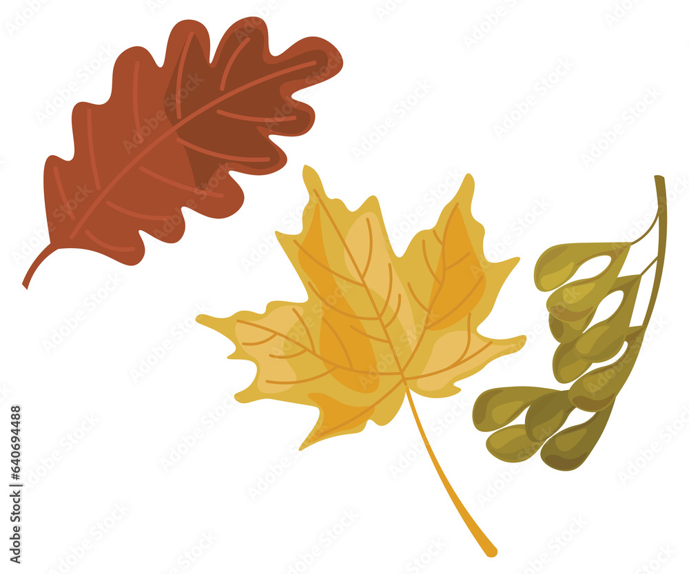 leaf leaf