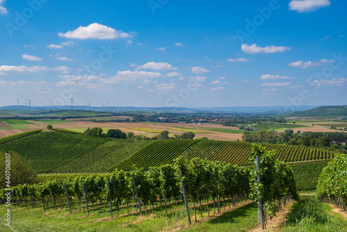 Hike through the vineyards near Wörrstadt/Germany on a sunny day