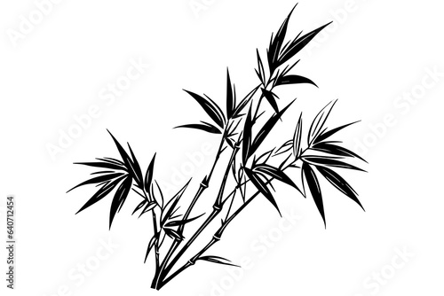 Hand drawn ink sketch of bamboo leaves and branches. Vector illustration.