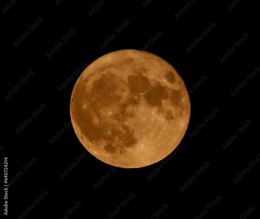 Obraz premium Super Moon rising in August.