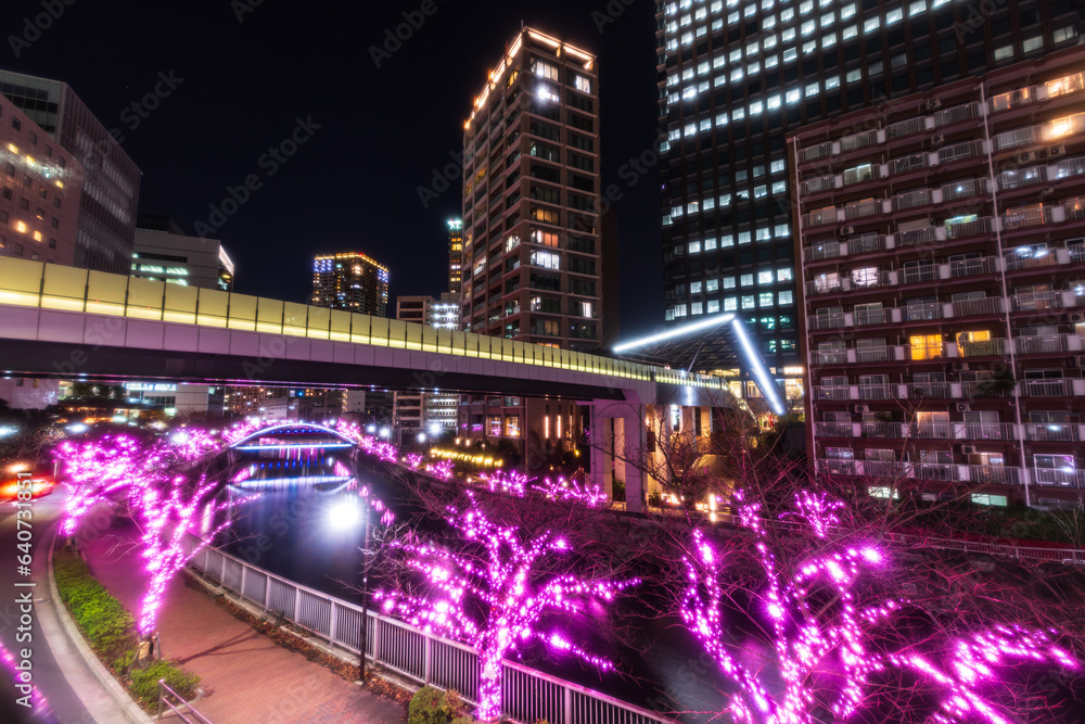 東京都・目黒川　冬の桜イルミネーション
