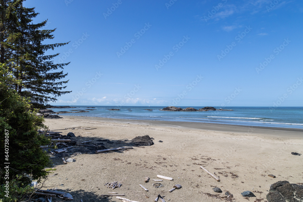 Obraz premium sandy beach in the summer