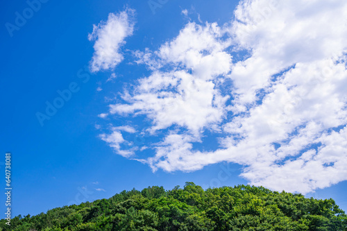 夏空と新緑の山