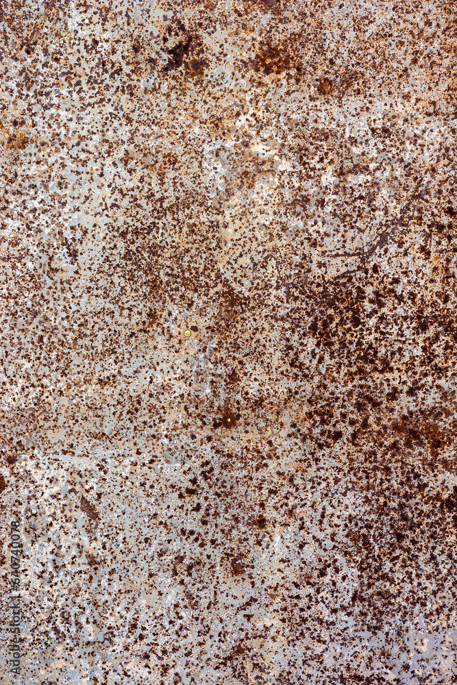 Fototapeta premium Rusty metal texture and background.