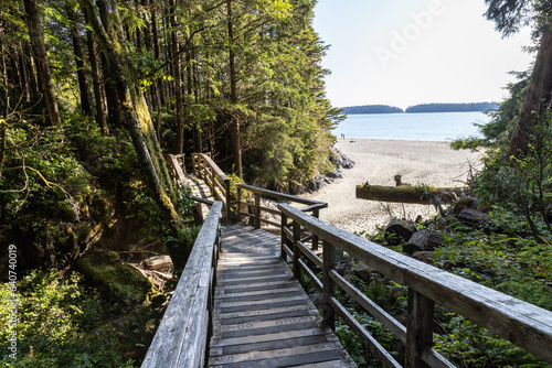 boardwalk in the forest © Josh Scholten