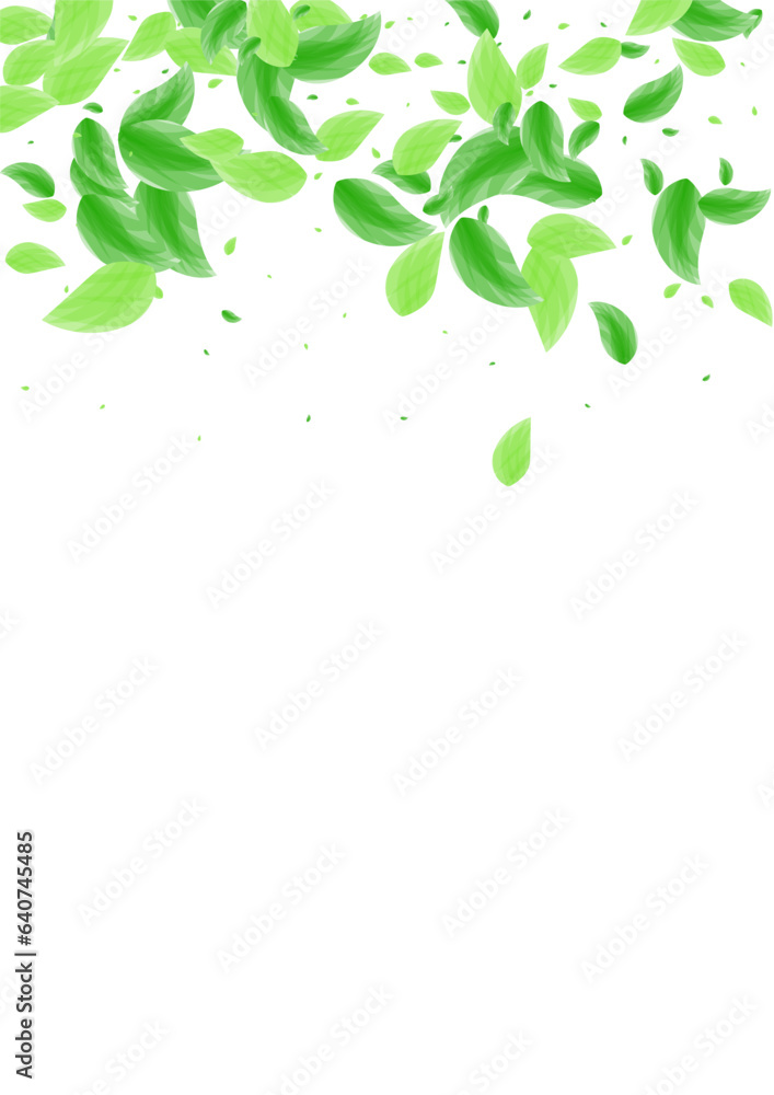 Greenish Vegetation Background White Vector. Foliage Refreshing Illustration. Concept Frame. Light Green Peaceful Card. Plant Copy. Greenish Vegetation Background White Vector. Foliage Refreshing Illustration. Concept Frame. Light Green Peaceful Card. Plant Copy.
