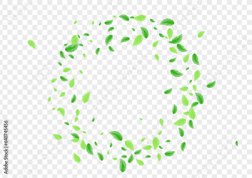 Green Vegetation Background Transparent Vector. Leaf Eco Illustration. Motion Frame. Greenish Rustic Texture. Foliage Floral.