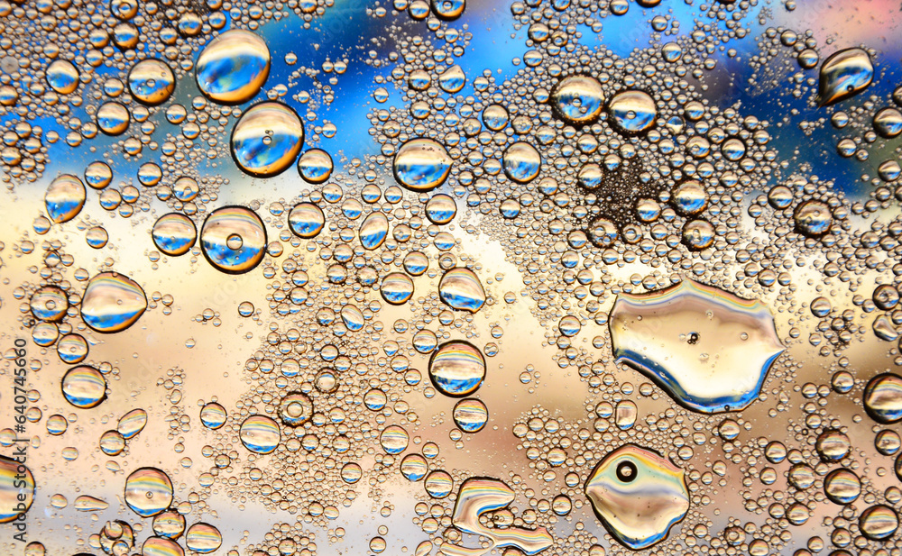 custom made wallpaper toronto digitalwater drops on glass