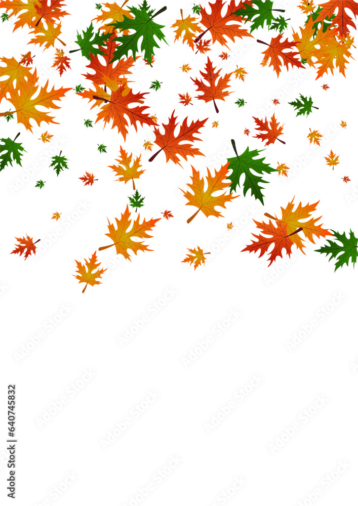 Colorful Leaves Background White Vector. Maple Season Texture. Red Ground. October Illustration. Orange Plant Decoration.