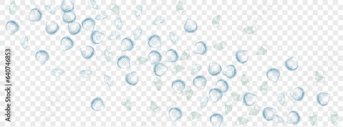 Gray Snail Background Transparent Vector. Seashell Collection Set. Nautical Design. Blue Shell Abstract Textile Card. Ultramarine Clam.