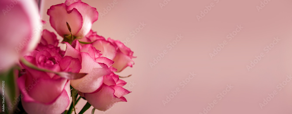 Bouquet of pink roses on the background of a wall in a room in daylight. Mother day. Floral background. Holiday postcard mockup. Soft selective focus. Space for text. Banner. Copy space