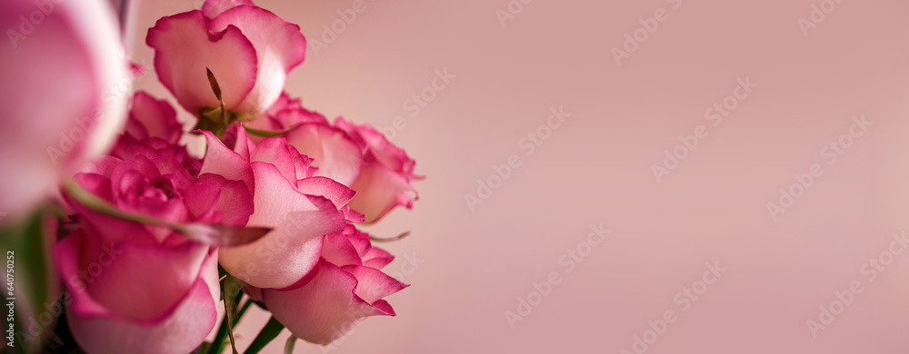 Bouquet of pink roses on the background of a wall in a room in daylight. Mother day. Floral background. Holiday postcard mockup. Soft selective focus. Space for text. Banner or header. Copy space Bouquet of pink roses on the background of a wall in a room in daylight. Mother day. Floral background. Holiday postcard mockup. Soft selective focus. Space for text. Banner or header. Copy space