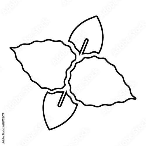 Basil, herbs, seasoning icon