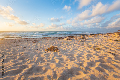 Beautiful Cozumel island in Mexico